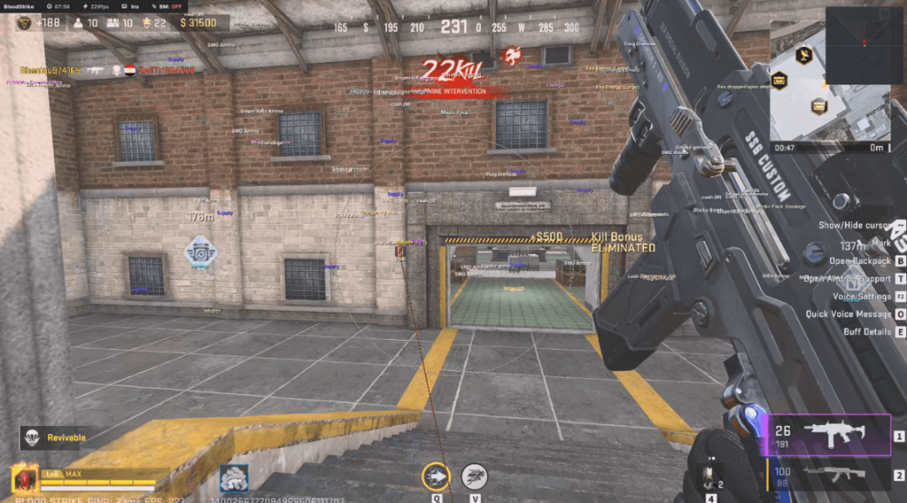 bloodstrike esp